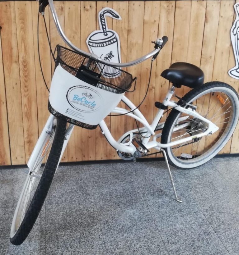 imgi_3_trek_bike-768x821
